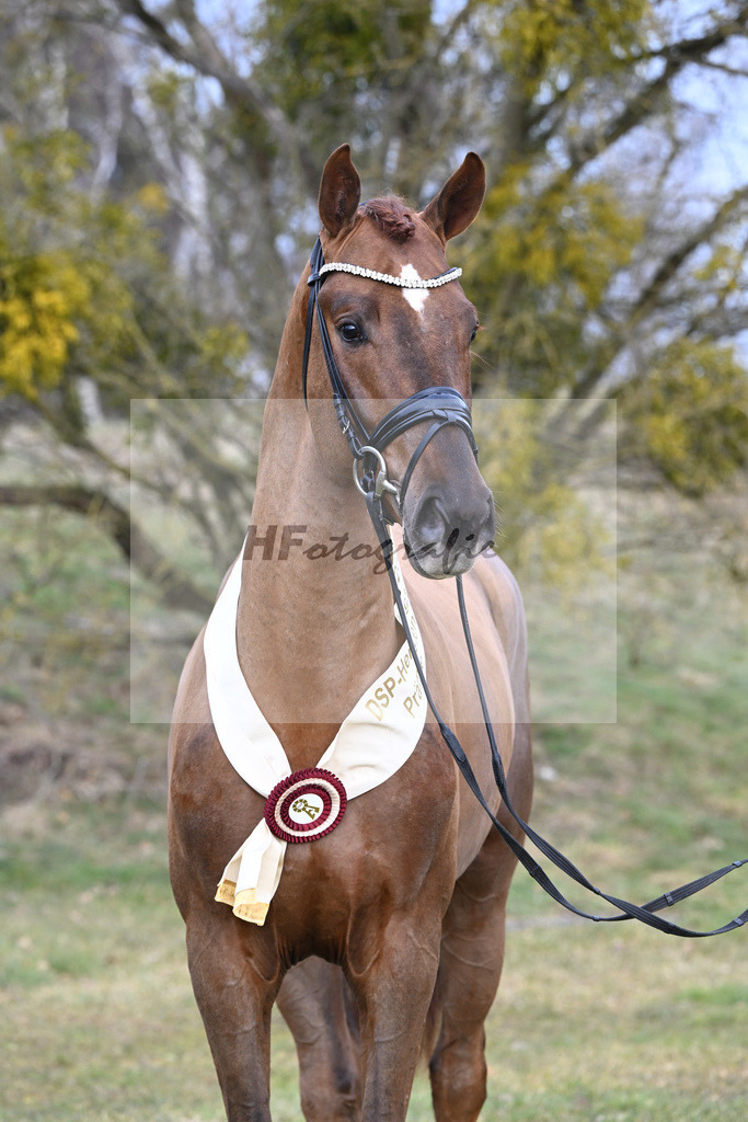 Kat.-Nr. 83 v. Va Bene_Winklmaier_2252288 | hf-fotografie - Realisiert mit Pictrs.com
