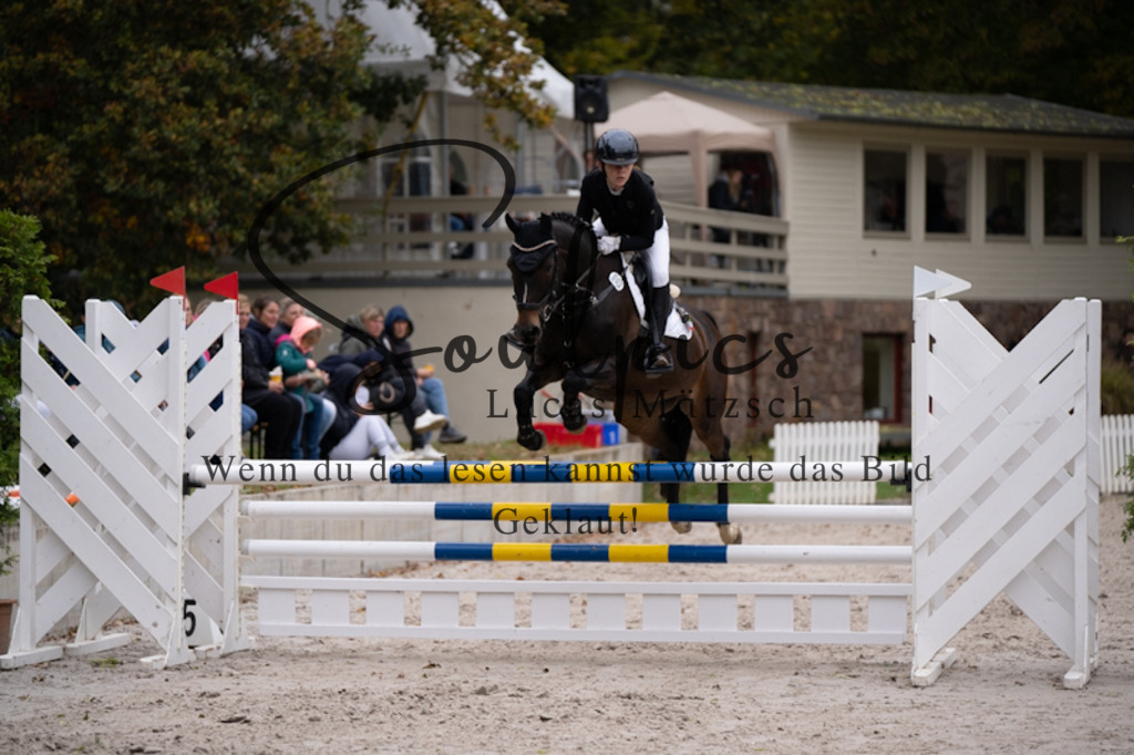 A7V09427 | Pferdefotograf