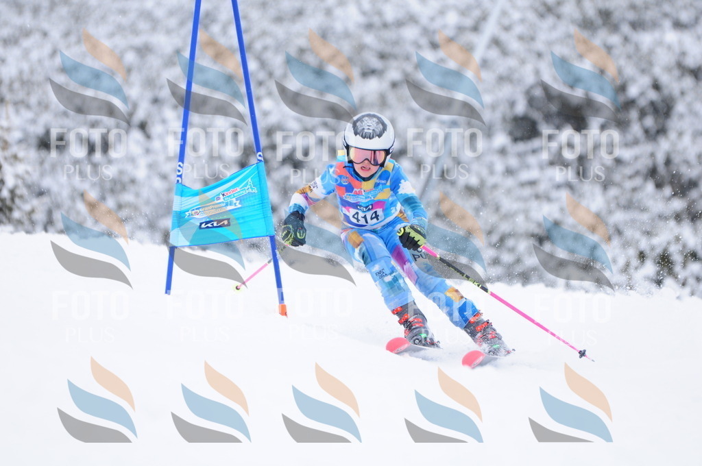 C4352 | holidayphoto