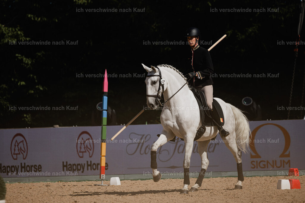 Virginie12FHC2025-27284 | working equitationturnier fotograf videograf stoibphotography marixx film working equitation deutschland reitsport turnierfotografie eventfotografie equestrian events