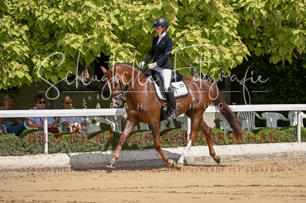 Schugtsche-Aluta25-48.Reitpferfdeprf.-75 | Schugtsche Fotografie - Realisiert mit Pictrs.com