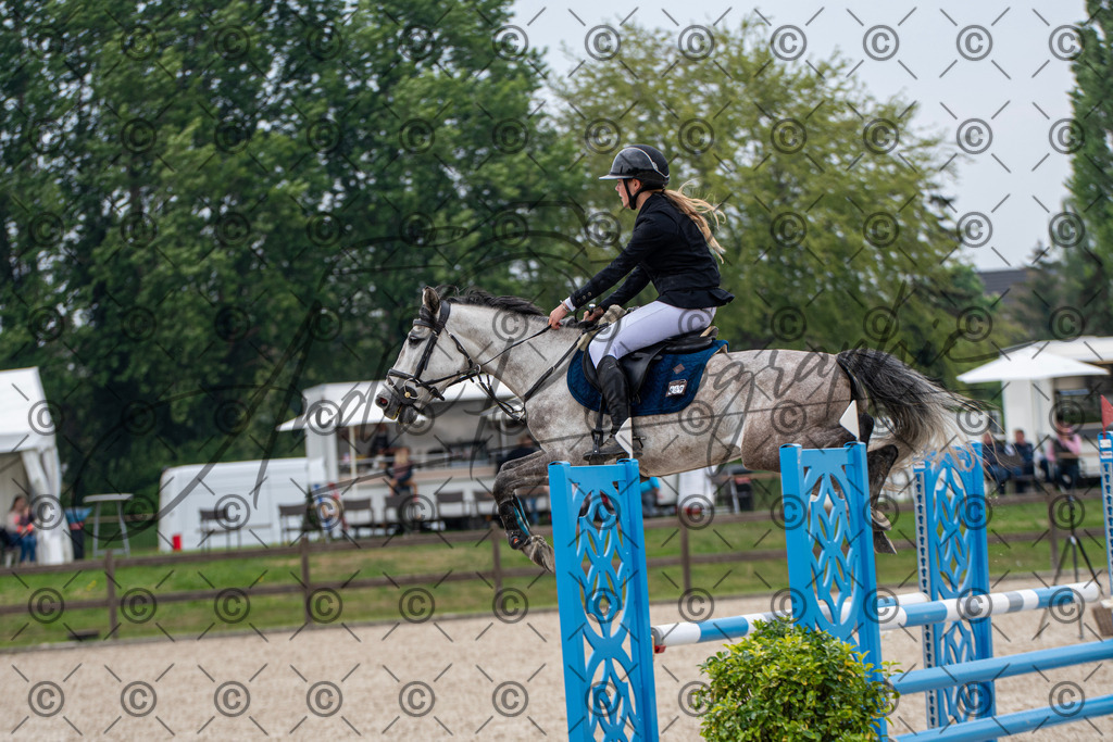 KPT_3784 | andre_photographic