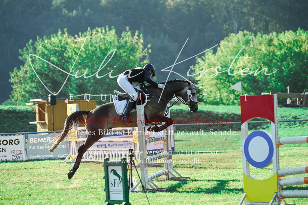DSC_4455 | Pferde- und Turnierfotografie in Westsachsen. Pferdeportraits, Auftragszeichnungen und intuitive Kunst.