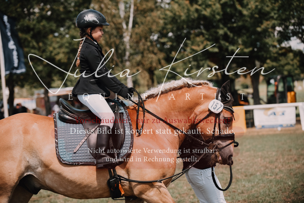 DSC_6098 | Pferde- und Turnierfotografie in Westsachsen. Pferdeportraits, Auftragszeichnungen und intuitive Kunst.