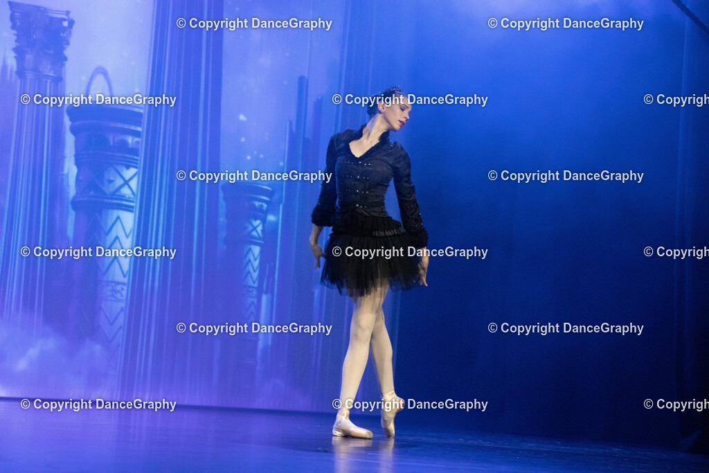 GPHY3144 | DanceGraphy - Realisiert mit Pictrs.com