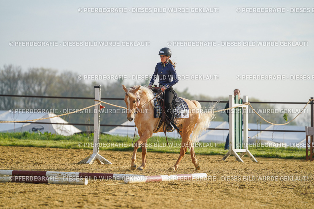 DSC09999 | Pferdegrafie