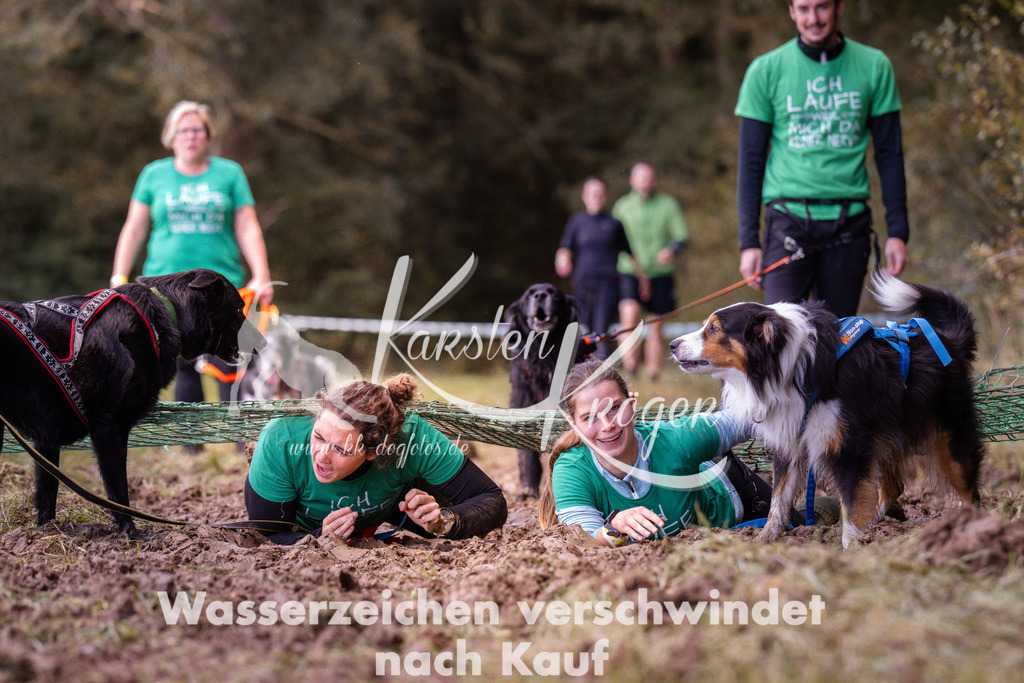 1216_ZZ92886 | kk-dogfotos