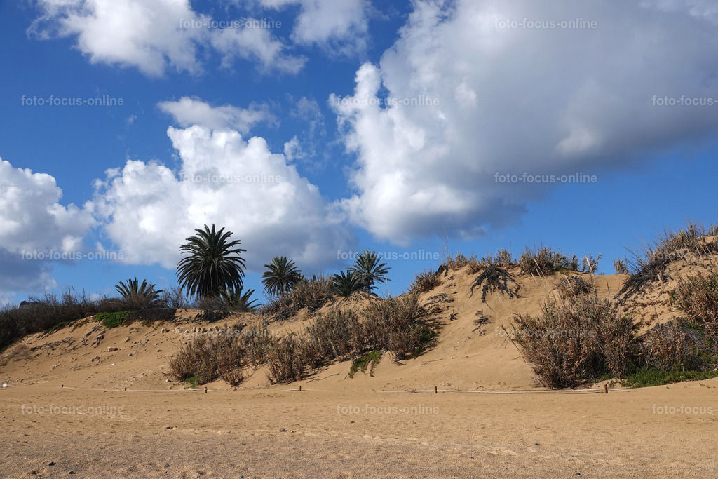 beach_29 | foto-focus-online