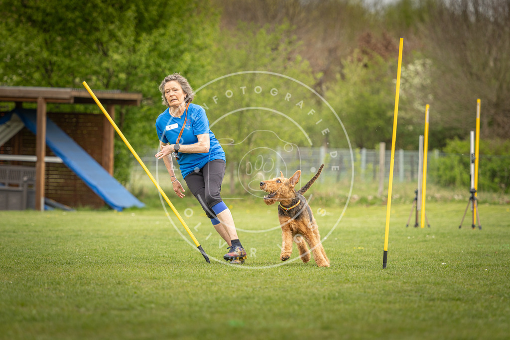 Pfotenfotografie_DV3A7540 | Hundefotografie, Tierfotograf, Pfotenfotografie, Fotoshooting Hund, Hunde Portrait, Hundesport, Hundeportraits, Heideshooting, Hunde, Sportfotograf, Hundefotograf, Turnierhundsport, THS,  - Realisiert mit Pictrs.com