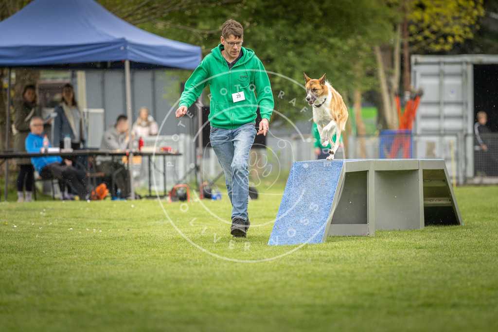 Pfotenfotografie_DV3A3307 | Hundefotografie, Tierfotograf, Pfotenfotografie, Fotoshooting Hund, Hunde Portrait, Hundesport, Hundeportraits, Heideshooting, Hunde, Sportfotograf, Hundefotograf, Turnierhundsport, THS,  - Realisiert mit Pictrs.com