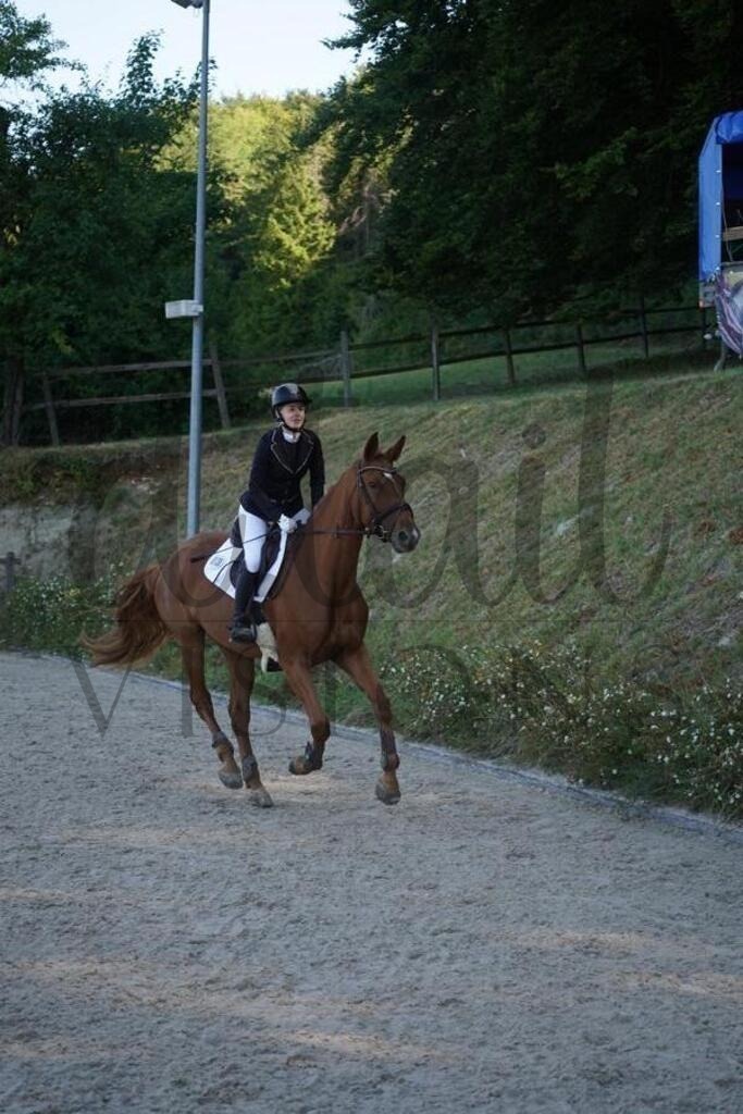 tgbhsonntag (145) | d.tail Visions - Shop - Realisiert mit Pictrs.com