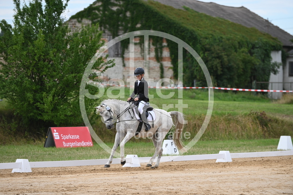 DSC_5342 | sattelsport - Realisiert mit Pictrs.com