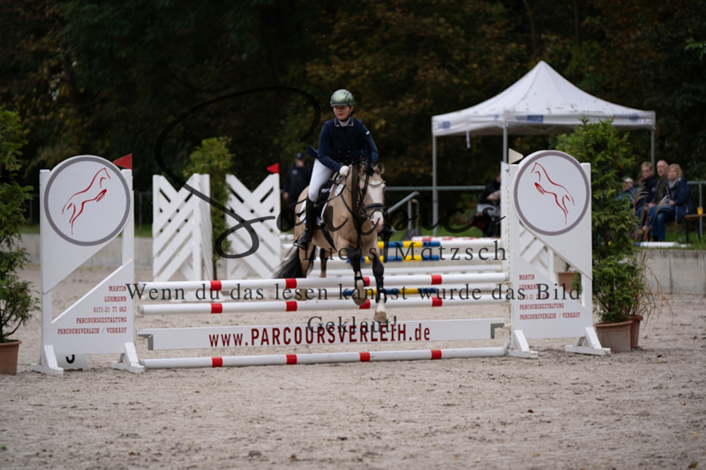 A7V09725 | Pferdefotograf