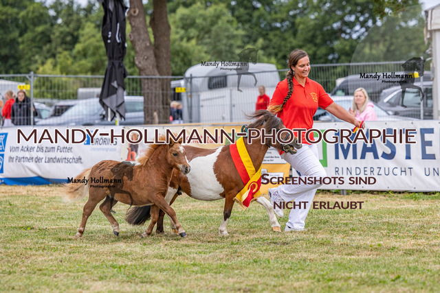 LTN 1 (229 von 918) | mandyhollmannphotographie