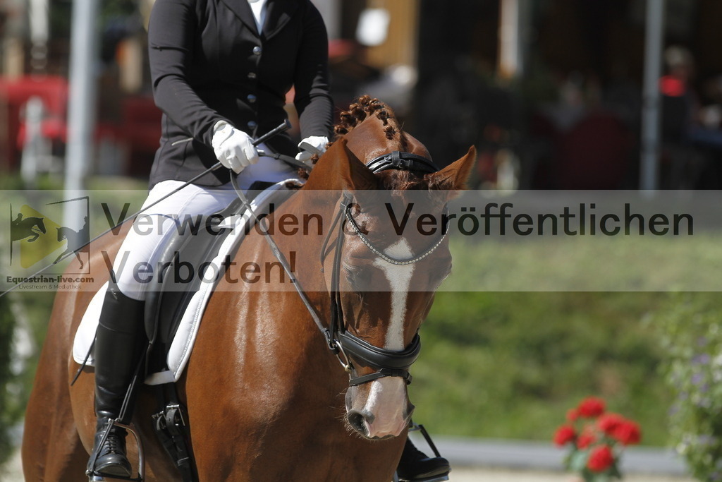 _MG_0308 | equestrian-live-com