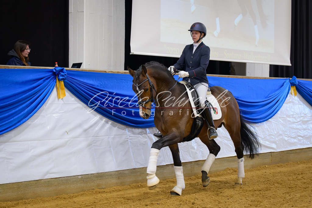 Robert-de-Niro_250308-09_07 | gis-fotografie