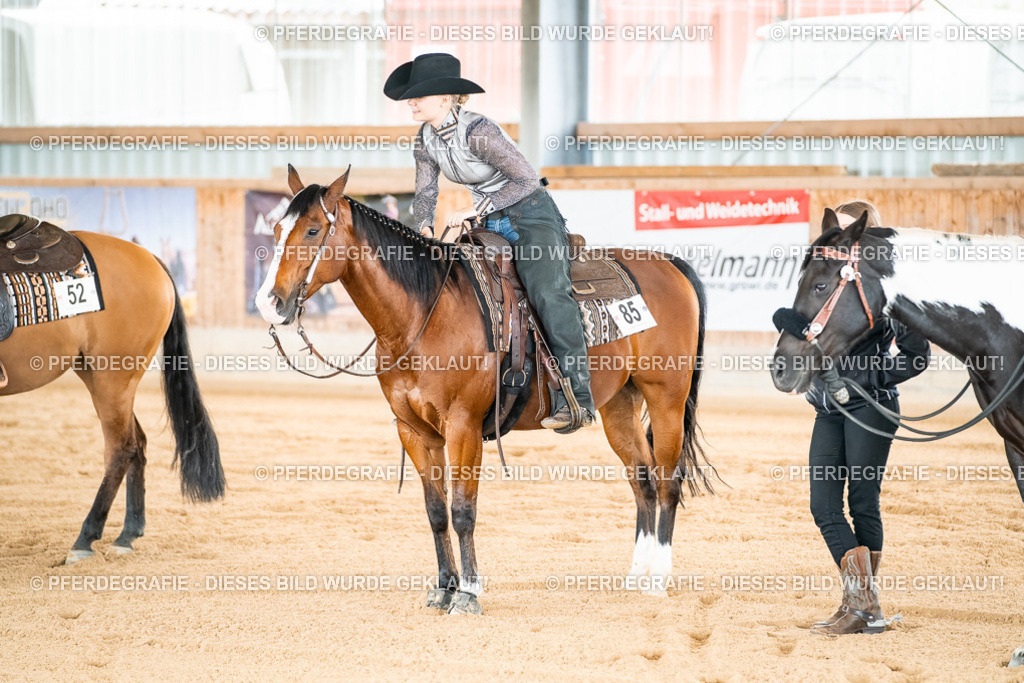 DSC03158 | Pferdegrafie