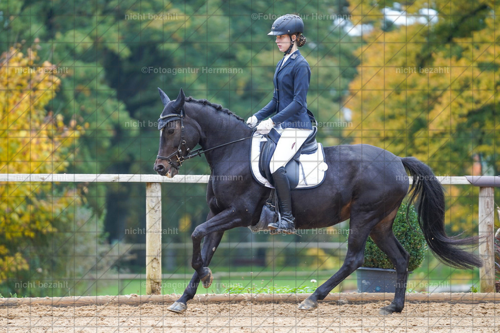 20221008-FAH00937 | Diessen am Ammersee, 2022, Dressur- und Springturnier, Reitsportbilder, Turnierfotografen Bayern, Pferdefotografen, Fotoagentur Herrmann, Turnierbilder