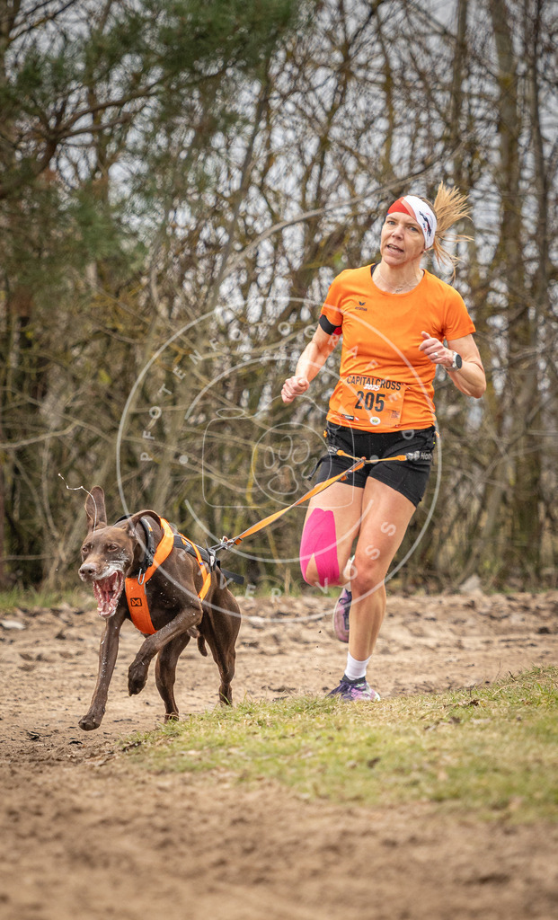 Pfotenfotografie_DV3A0219 | Hundefotografie, Tierfotograf, Pfotenfotografie, Fotoshooting Hund, Hunde Portrait, Hundesport, Hundeportraits, Heideshooting, Hunde, Sportfotograf, Hundefotograf, Turnierhundsport, THS,  - Realisiert mit Pictrs.com