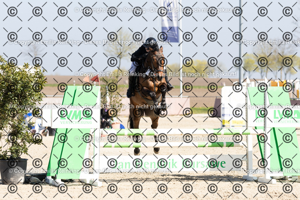 CL5A5317 | Emilia Reinking Fotografie - Realisiert mit Pictrs.com