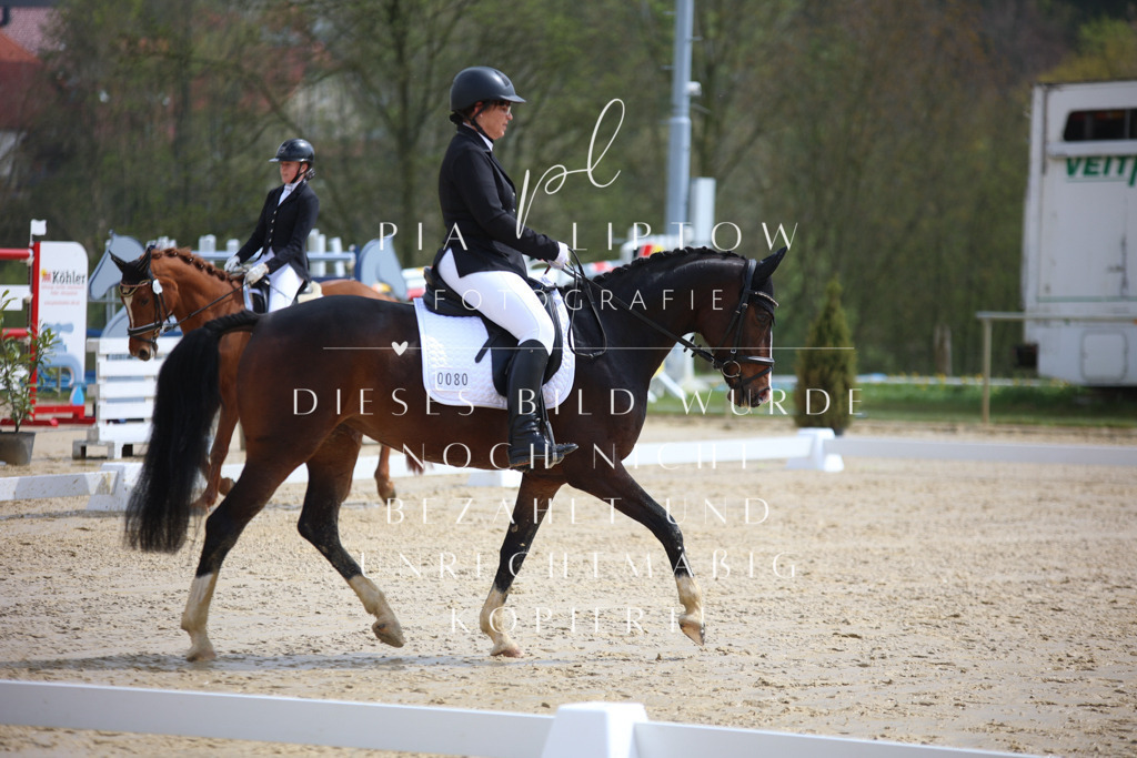 IMGT2575 | pl-fotografie