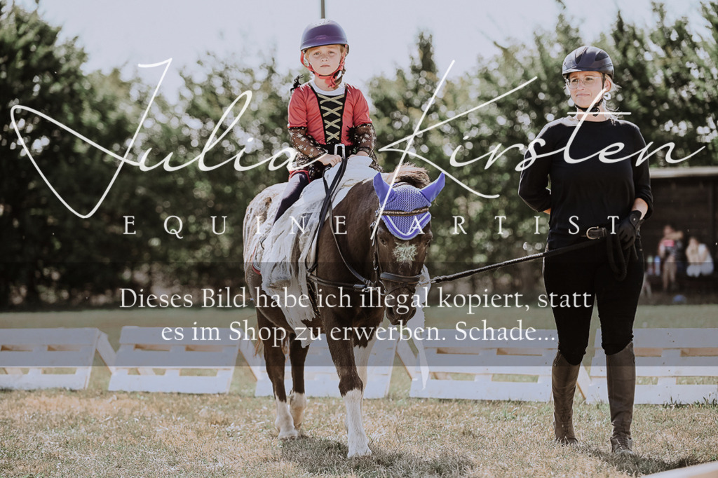 DSC_8890 | Pferde- und Turnierfotografie in Westsachsen. Pferdeportraits, Auftragszeichnungen und intuitive Kunst.