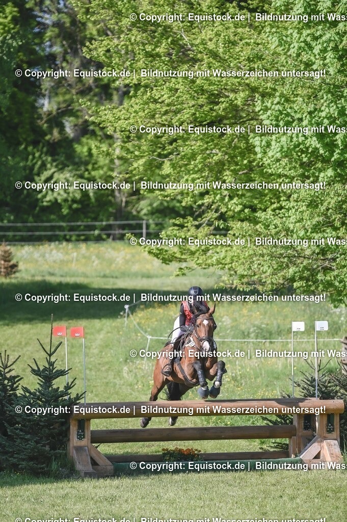 20250517_CCI2_Gelände_0413 | Foto: Thomas Hartig