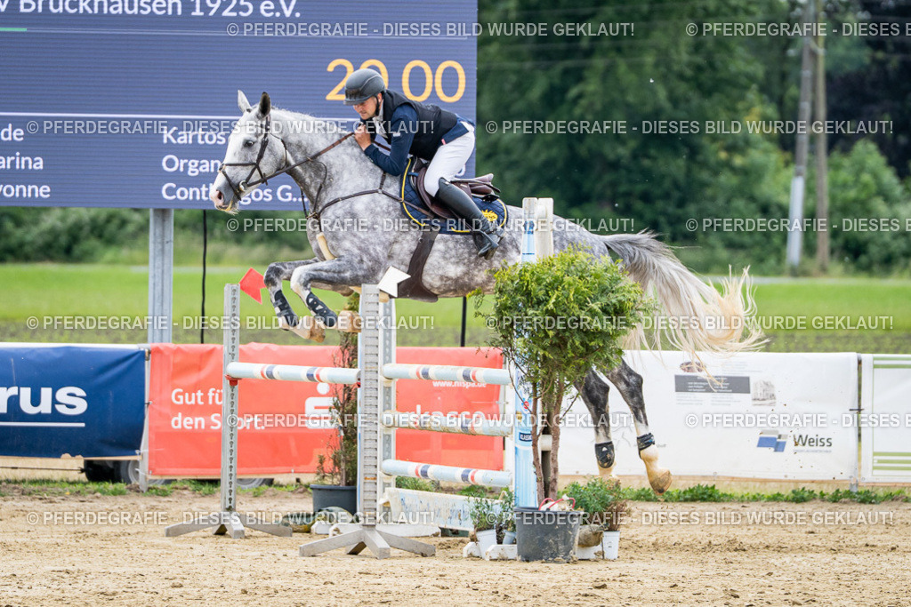 DSC05372 | Pferdegrafie