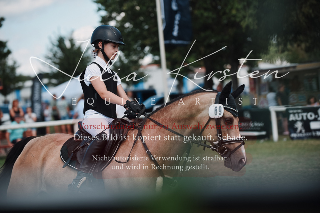 DSC_5840 | Pferde- und Turnierfotografie in Westsachsen. Pferdeportraits, Auftragszeichnungen und intuitive Kunst.