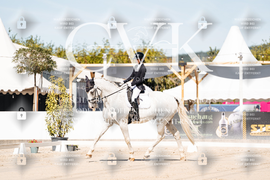 CK908914 | Turnierfotografie Pferdefotografie Trier Rheinland-Pfalz Pferdesport Reitsport Tierfotografie Sportfotografie Pferdevideo Pferdevideografie Equestrianvideography equestrianphotography  - Realisiert mit Pictrs.com