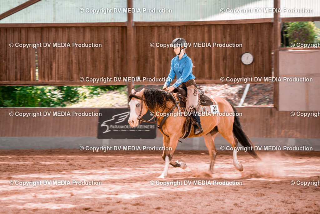 NE200673 | dv-media-shop - Realisiert mit Pictrs.com