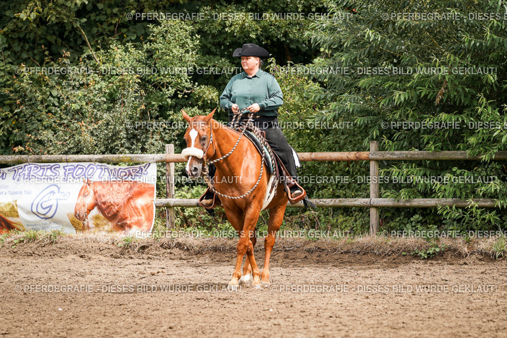 DSC04749 | Pferdegrafie