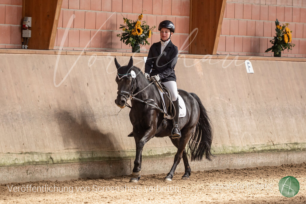 250914_Barop_33_082 | farbklaex.com