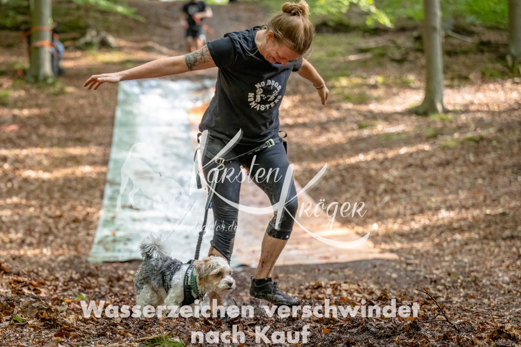 1138_ZZ91744-Bearbeitet | kk-dogfotos