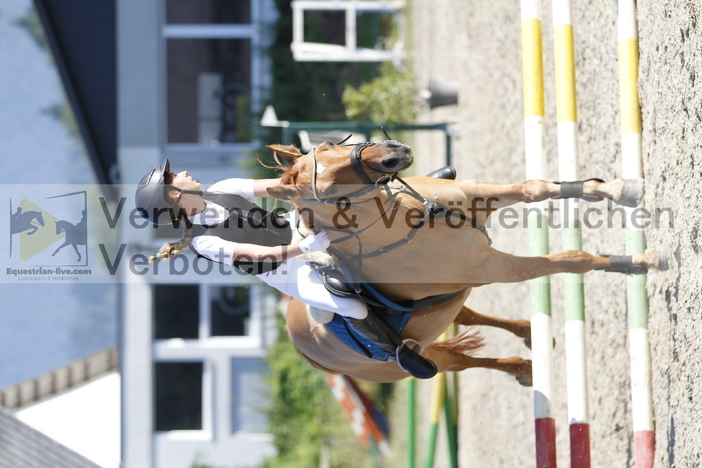 _MG_6211 | equestrian-live-com