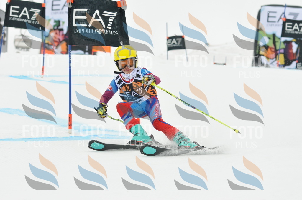 DSC_7652 | holidayphoto