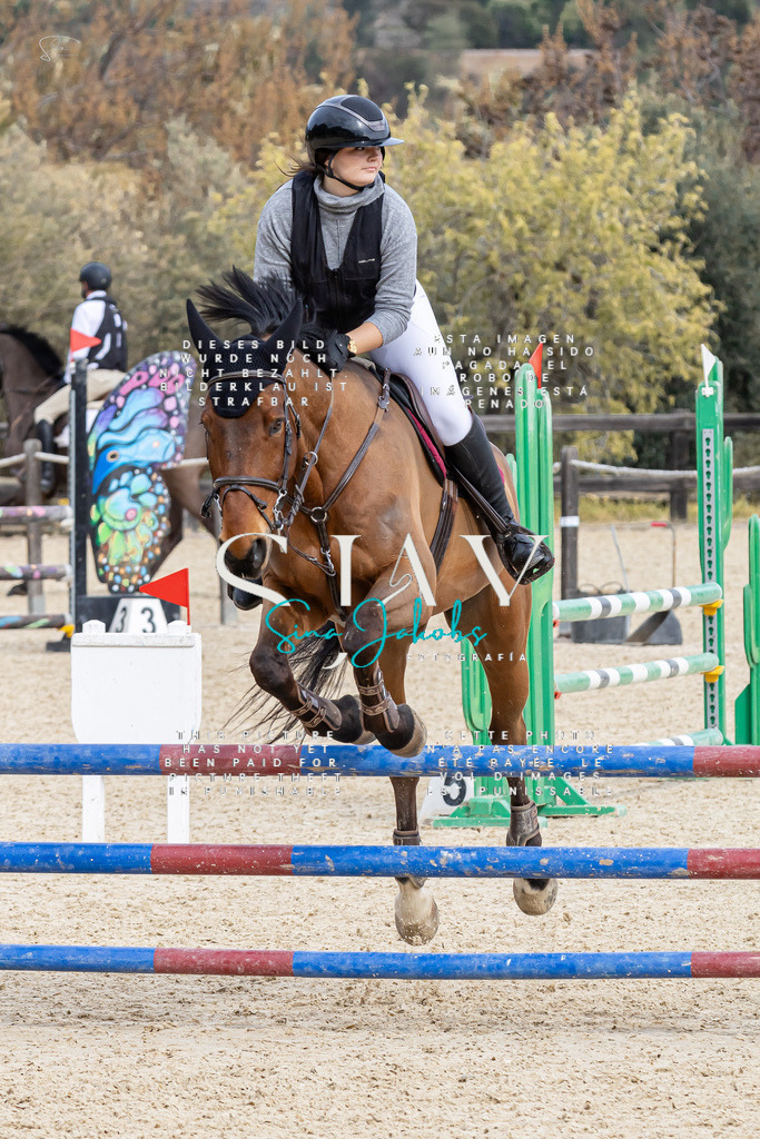 IMG_3847 | s-jay-photography - Realisiert mit Pictrs.com