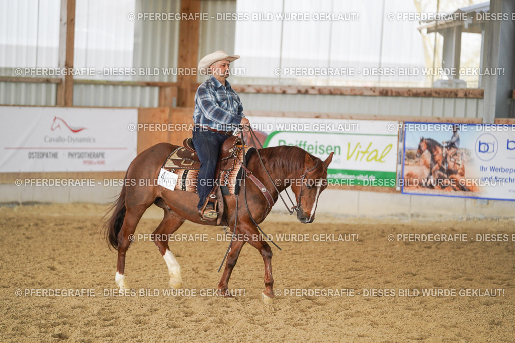 DSC00278 | Pferdegrafie