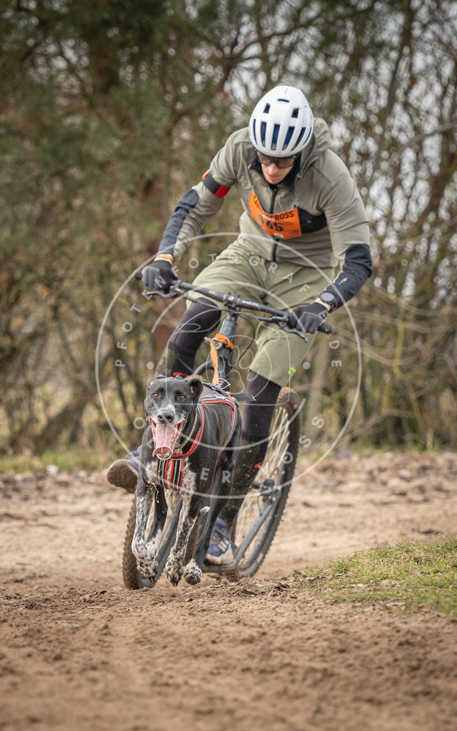 Pfotenfotografie_DV3A9367 | Hundefotografie, Tierfotograf, Pfotenfotografie, Fotoshooting Hund, Hunde Portrait, Hundesport, Hundeportraits, Heideshooting, Hunde, Sportfotograf, Hundefotograf, Turnierhundsport, THS,  - Realisiert mit Pictrs.com