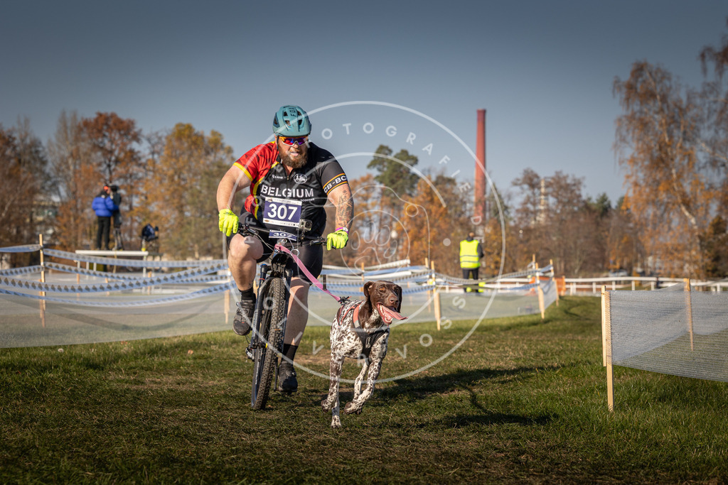 CaniXpix_0L8A8216 | Hundefotografie, Tierfotograf, Pfotenfotografie, Fotoshooting Hund, Hunde Portrait, Hundesport, Hundeportraits, Heideshooting, Hunde, Sportfotograf, Hundefotograf, Turnierhundsport, THS,  - Realisiert mit Pictrs.com