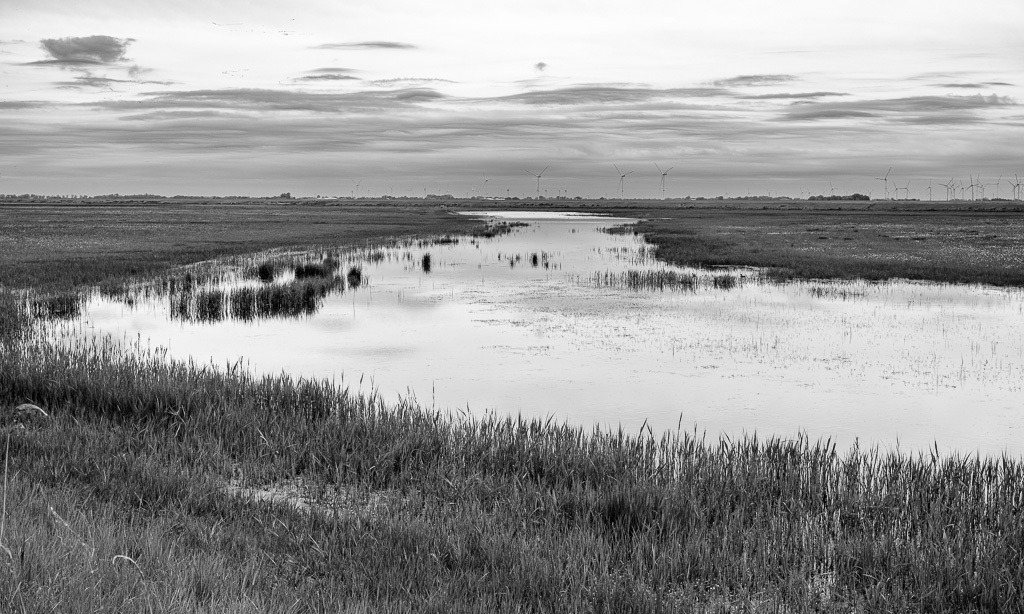 Katinger Watt © Holger Rüdel | Der Online-Shop von Holger Rüdel. Ausgewählte Fotografien als FineArt-Prints bestellen: Bildreportagen, Landschaften, Wildlife, Infrarot-Motive in Schwarzweiß und Zeitgeschichte im Bild. - Realisiert mit Pictrs.com