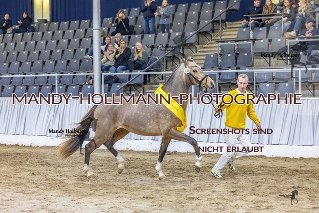 52 (34) | mandyhollmannphotographie
