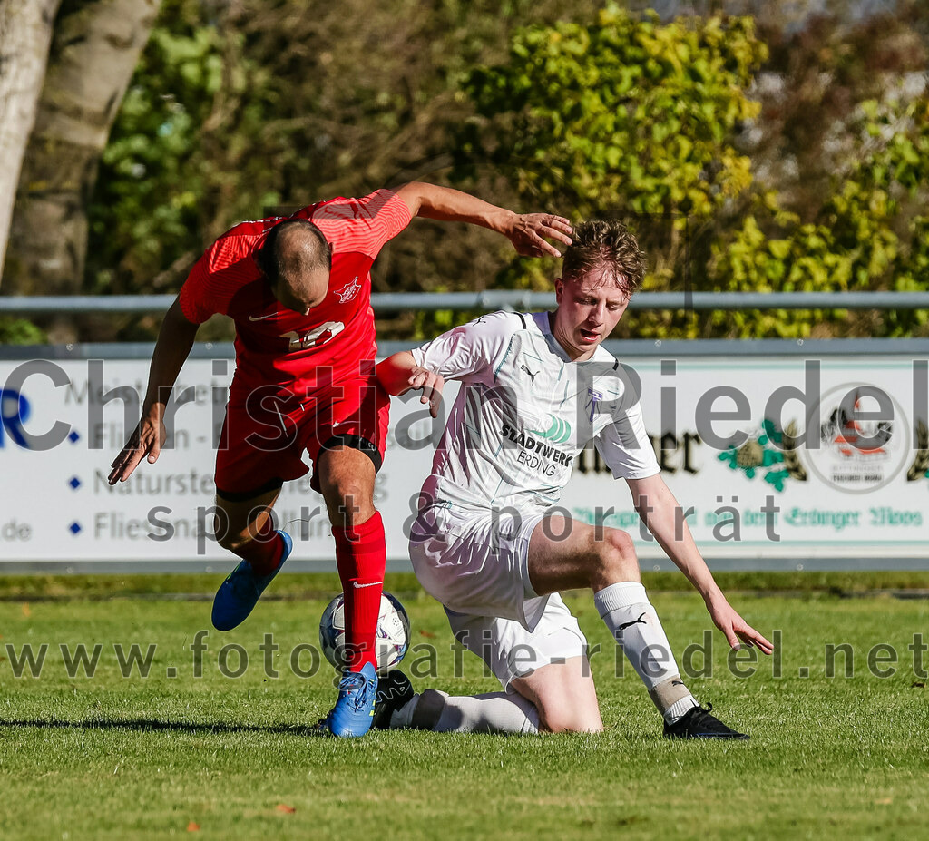 2023-10-22_061_SpVgg_Eichenkofen_gegen_SpVgg_Altenerding_II | Erding, Deutschland, 22.10.2023:
Fußball, A-Klasse 2023 / 2024, 12. Spieltag, SpVgg Eichenkofen gegen SpVgg Altenerding II, Endergebnis: 3:1

+a35+

Foto: Christian Riedel / fotografie-riedel.net