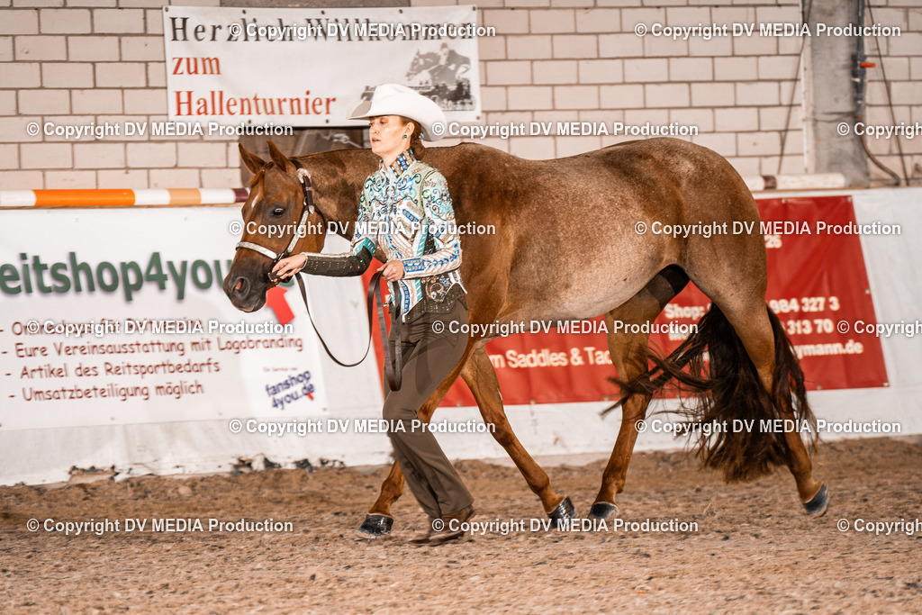 ZH100016 | dv-media-shop - Realisiert mit Pictrs.com