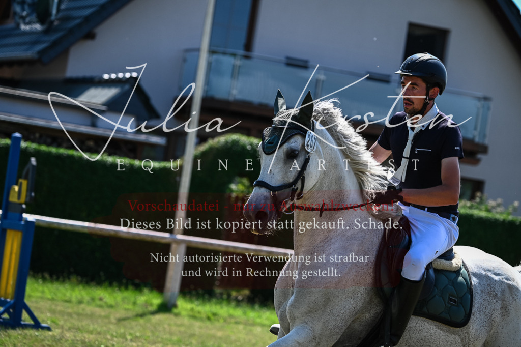 DSC_1142 | Pferde- und Turnierfotografie in Westsachsen. Pferdeportraits, Auftragszeichnungen und intuitive Kunst.