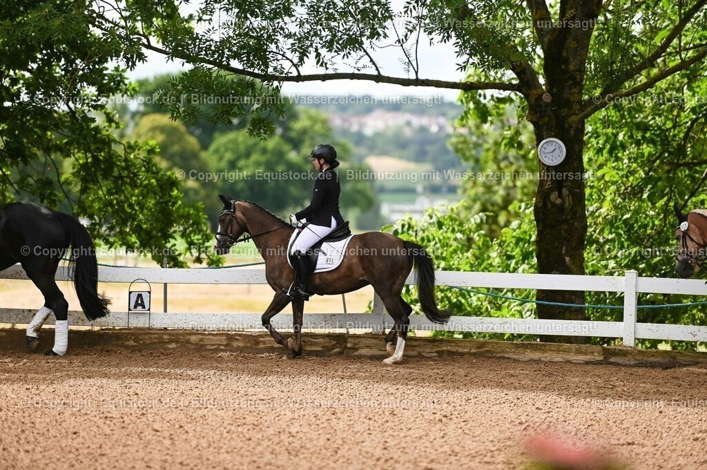 20230716_10-1_Reiter-WB Schritt - Trab - Galopp_0049 | equistock