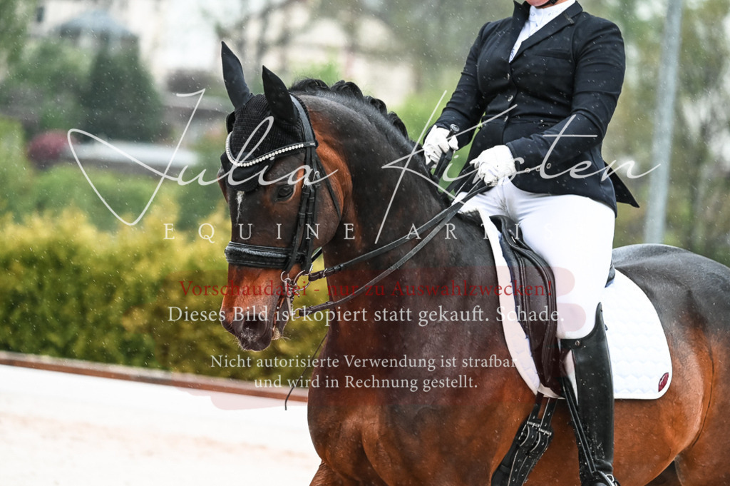 DSC_4543 | Pferde- und Turnierfotografie in Westsachsen. Pferdeportraits, Auftragszeichnungen und intuitive Kunst.