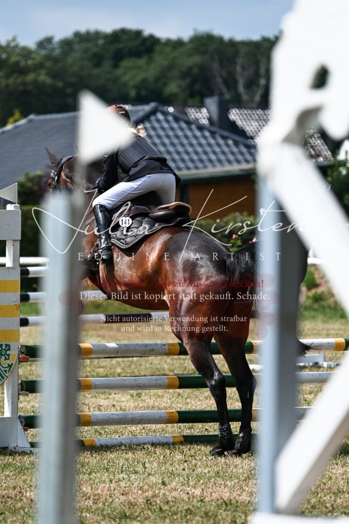 DSC_9260 | Pferde- und Turnierfotografie in Westsachsen. Pferdeportraits, Auftragszeichnungen und intuitive Kunst.