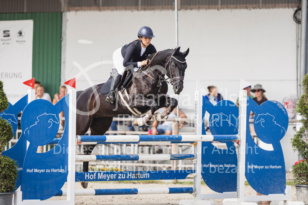 250629_PfSpTa_Stil-L2-333 | Deine schönsten Turniermomente als professionelle Fotos! Entdecke hochwertige Pferdesport-Fotografie im Online-Shop. Jetzt Fotos finden & bestellen!