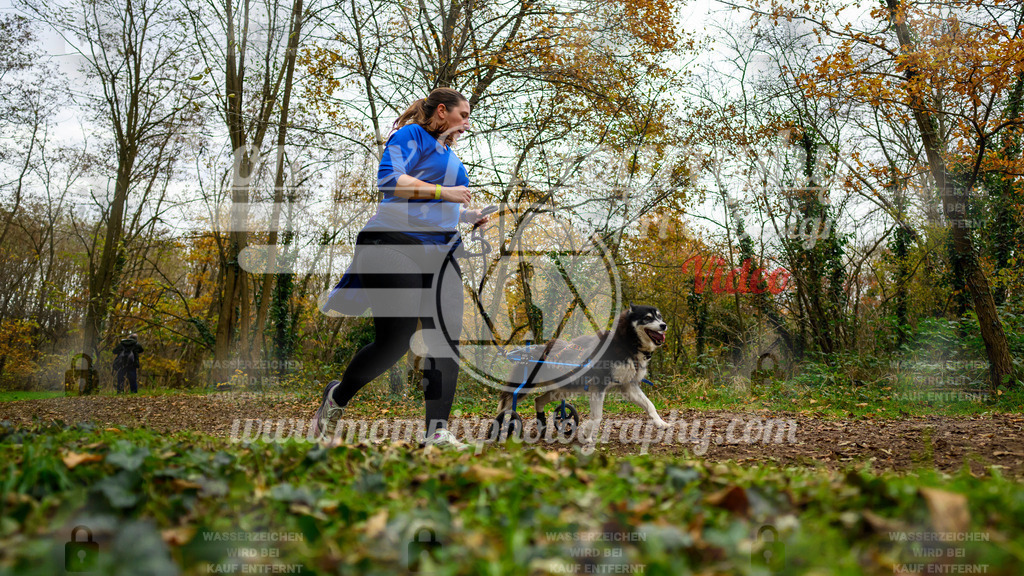 MompixPhotography_Bischwiller24_DI_CoursedeRelais-79 | PayLife